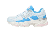 9060 "blue / White" - 1