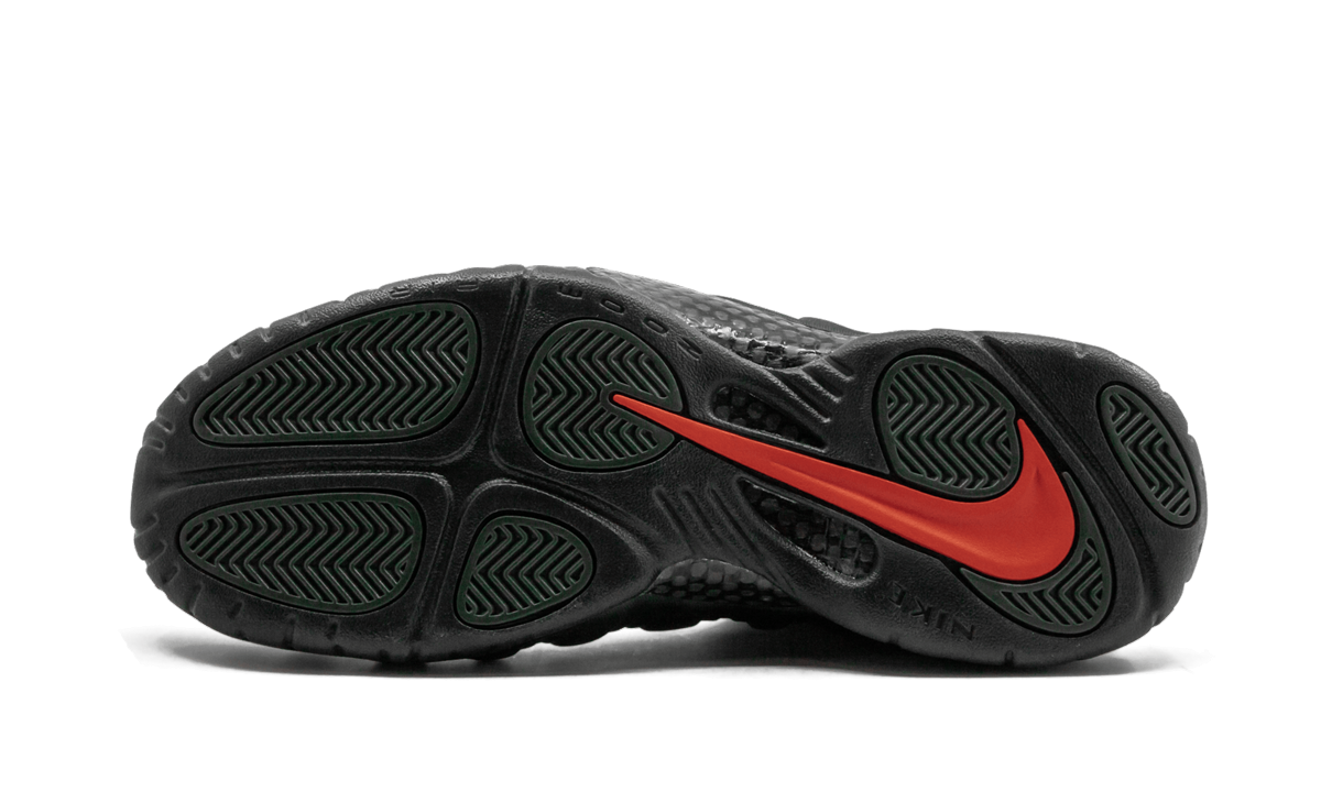 Air Foamposite Pro "sequoia" - 5