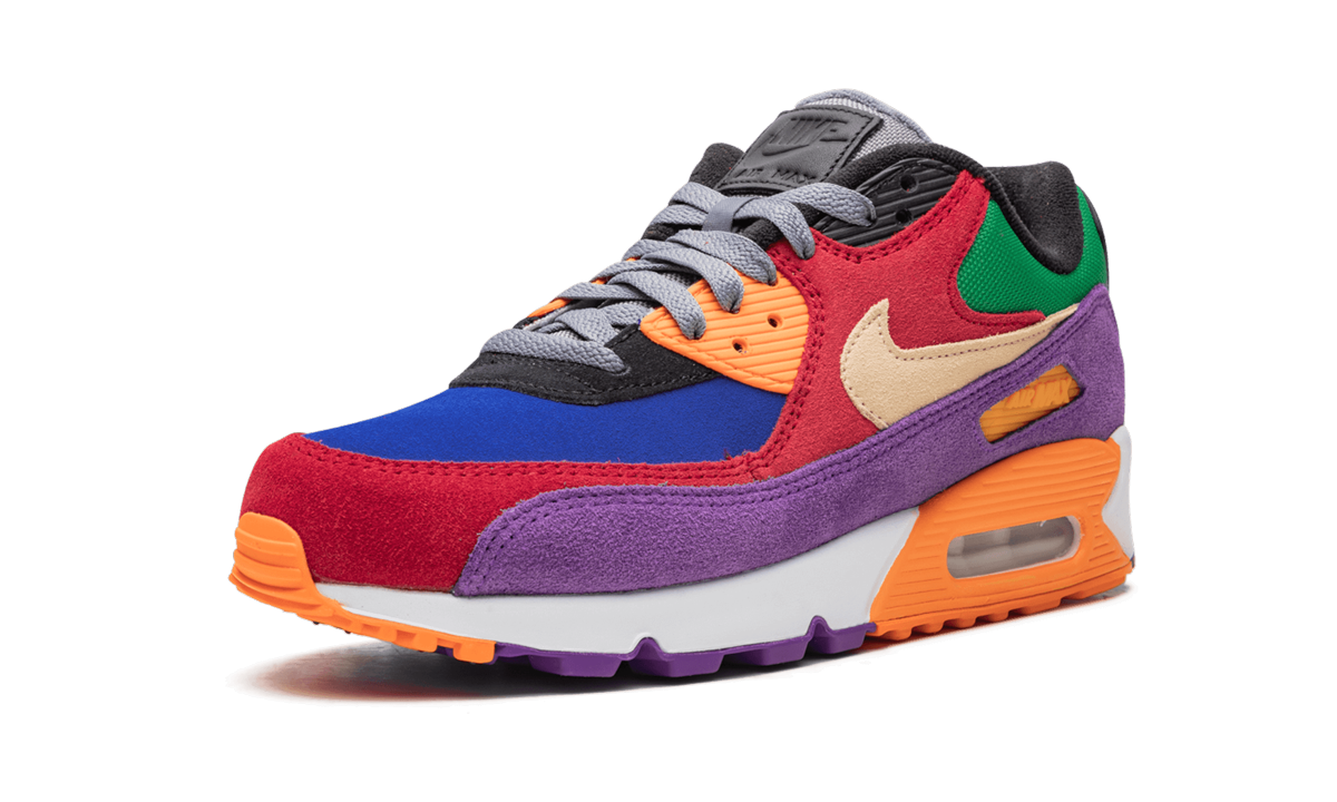 Air Max 90 "viotech" - 4