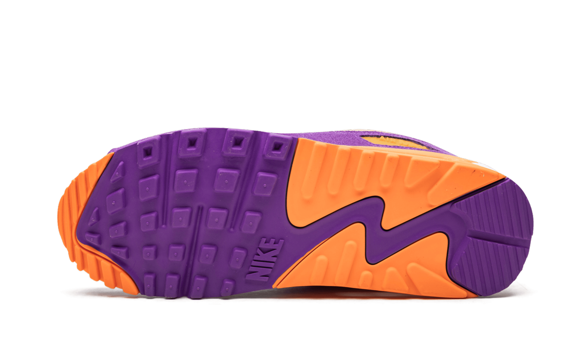 Air Max 90 "viotech" - 5