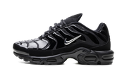 Air Max Plus "metallic Black" - 1