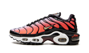 Air Max Plus Mns Wmns "sisterhood" - 1