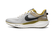 Air Zoom Pegasus 41 Sp "college Grey Anthracite" - 1
