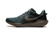 Air Zoom Pegasus 41 Sp "faded Spruce" - 1
