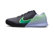 Court Air Zoom Vapor Pro 2 Hc "oregon" - 1