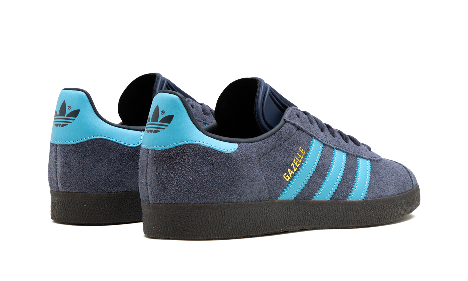 Gazelle "blue Gum" - 3