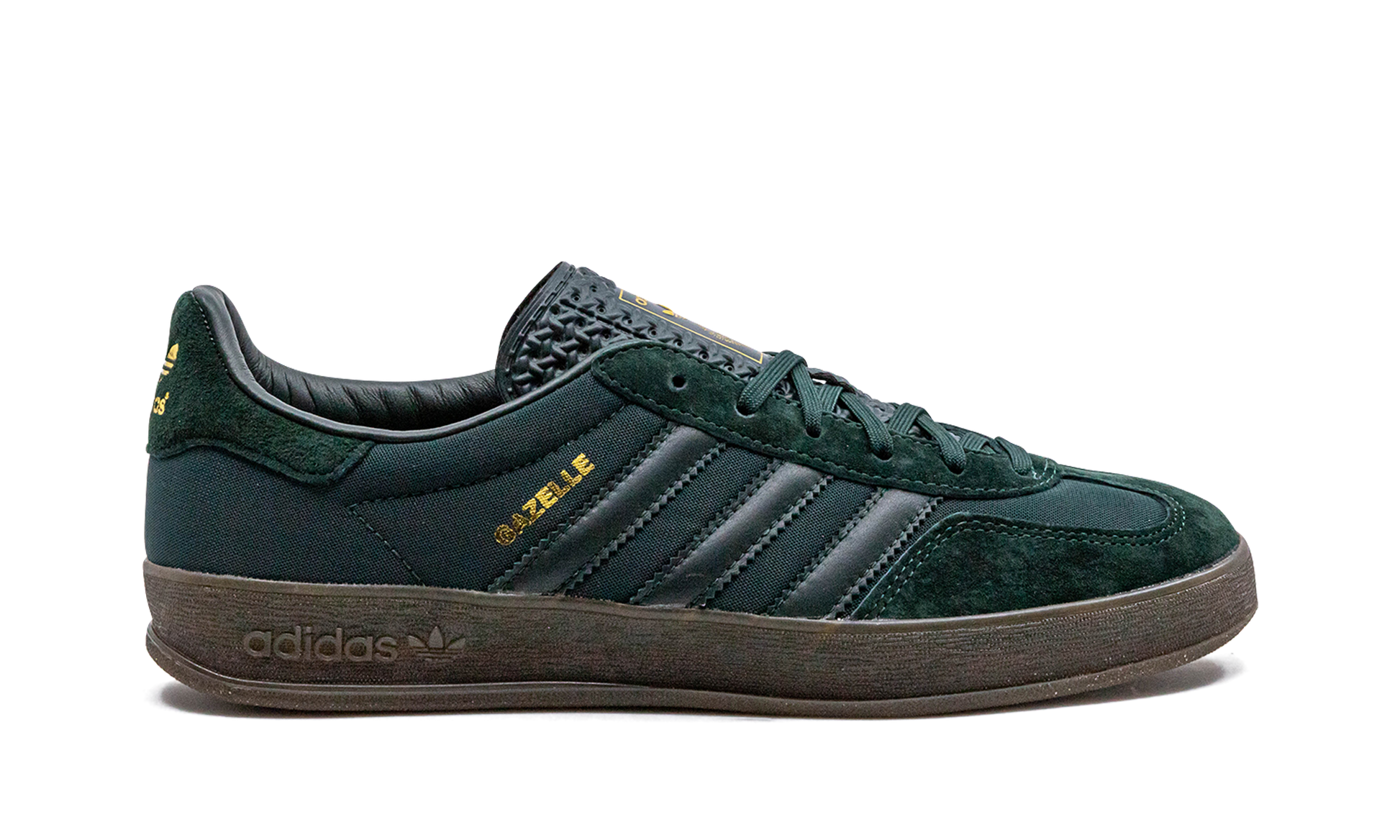 Gazelle Indoor - 6