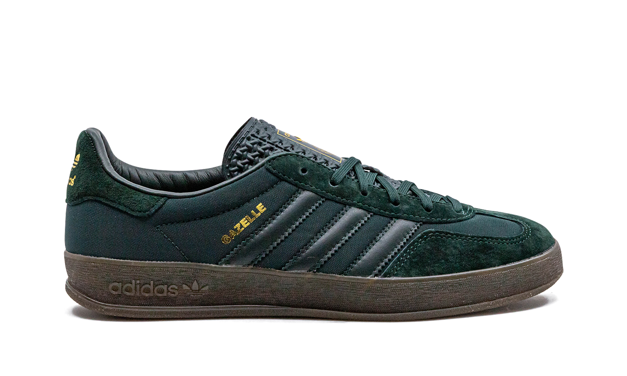 Gazelle Indoor - 6