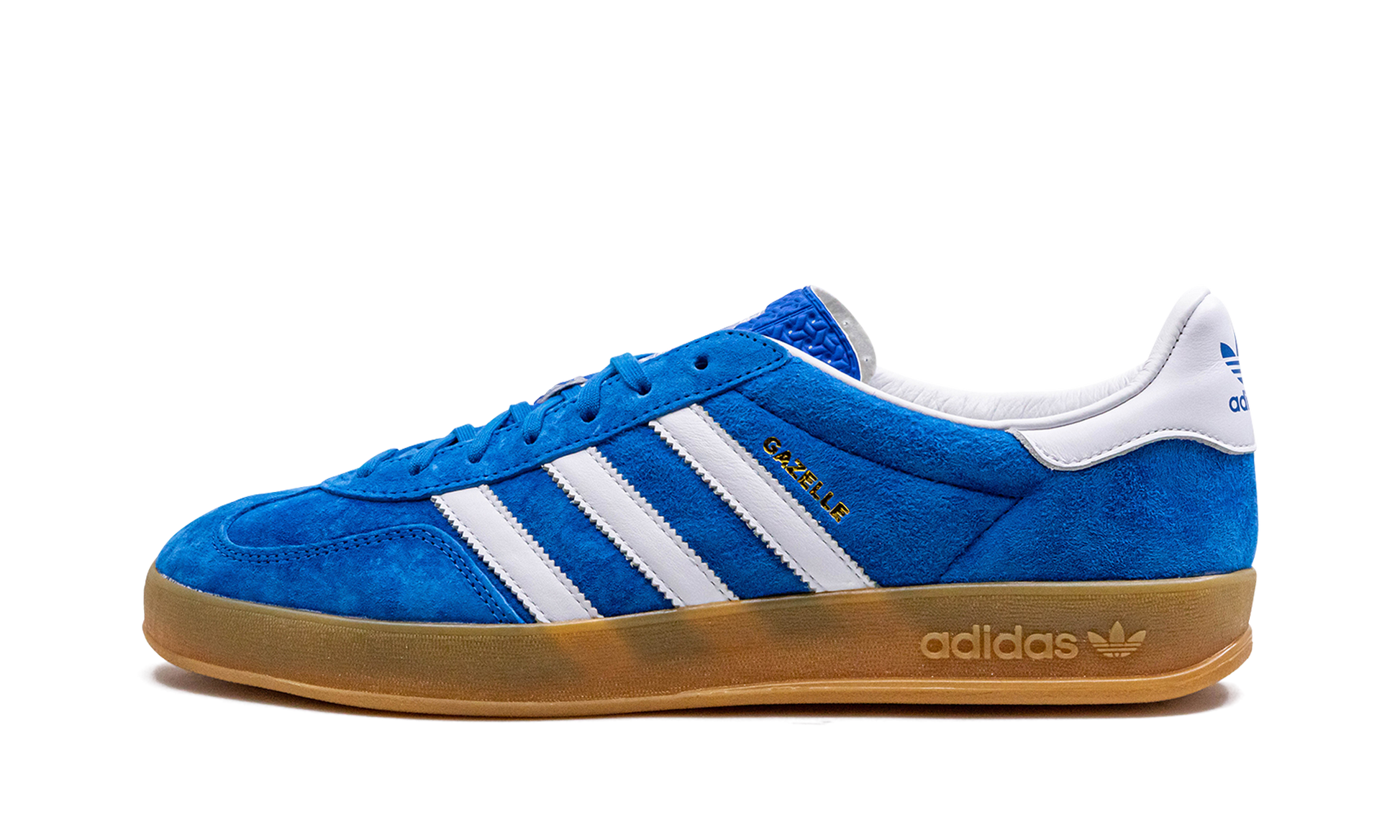Gazelle Indoor "blue Bird" - 1
