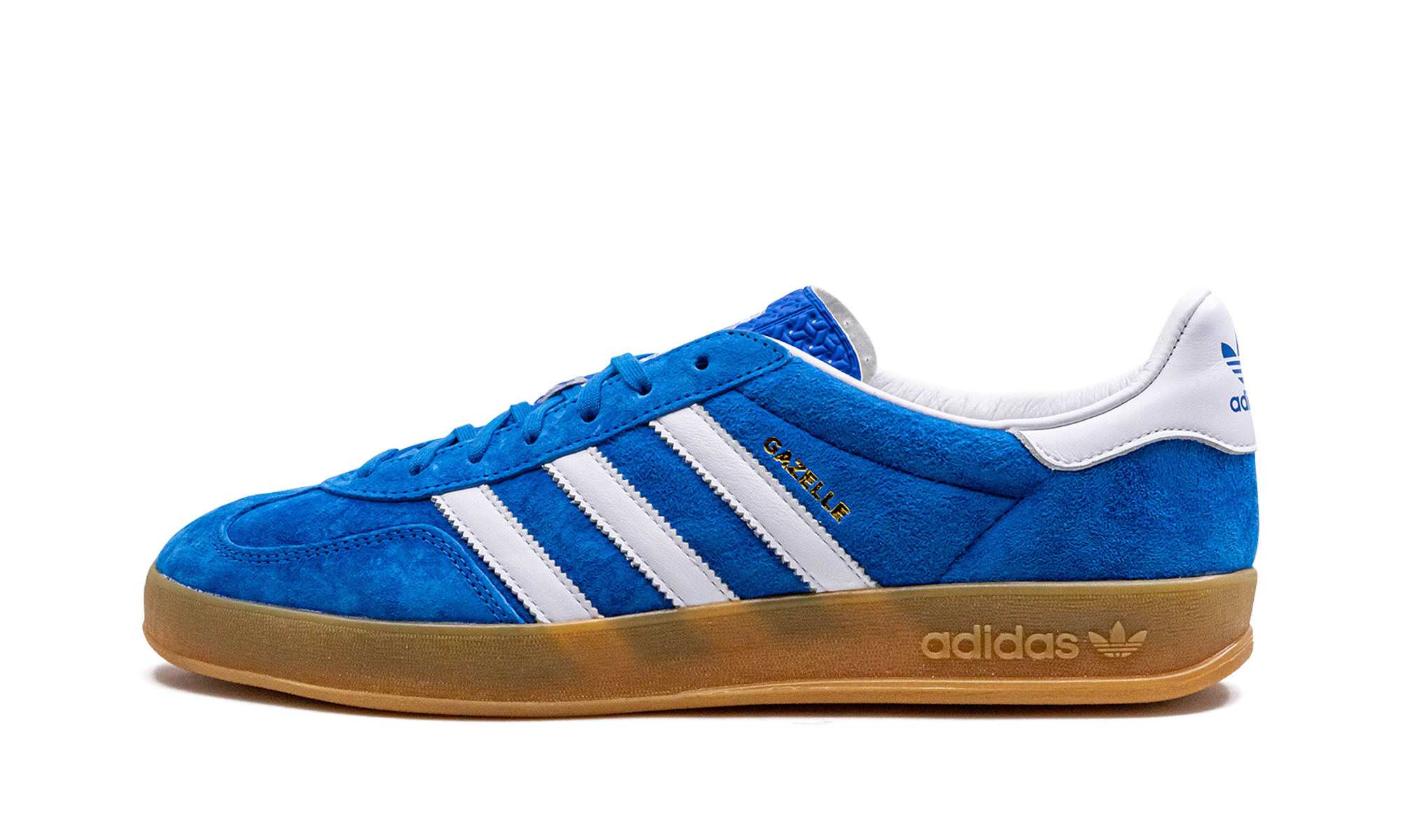 Gazelle Indoor "blue Bird" - 1