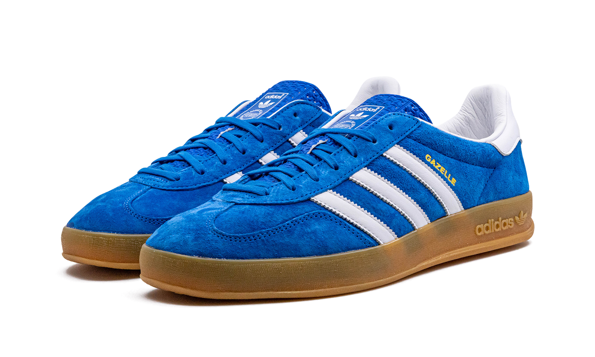 Gazelle Indoor "blue Bird" - 2
