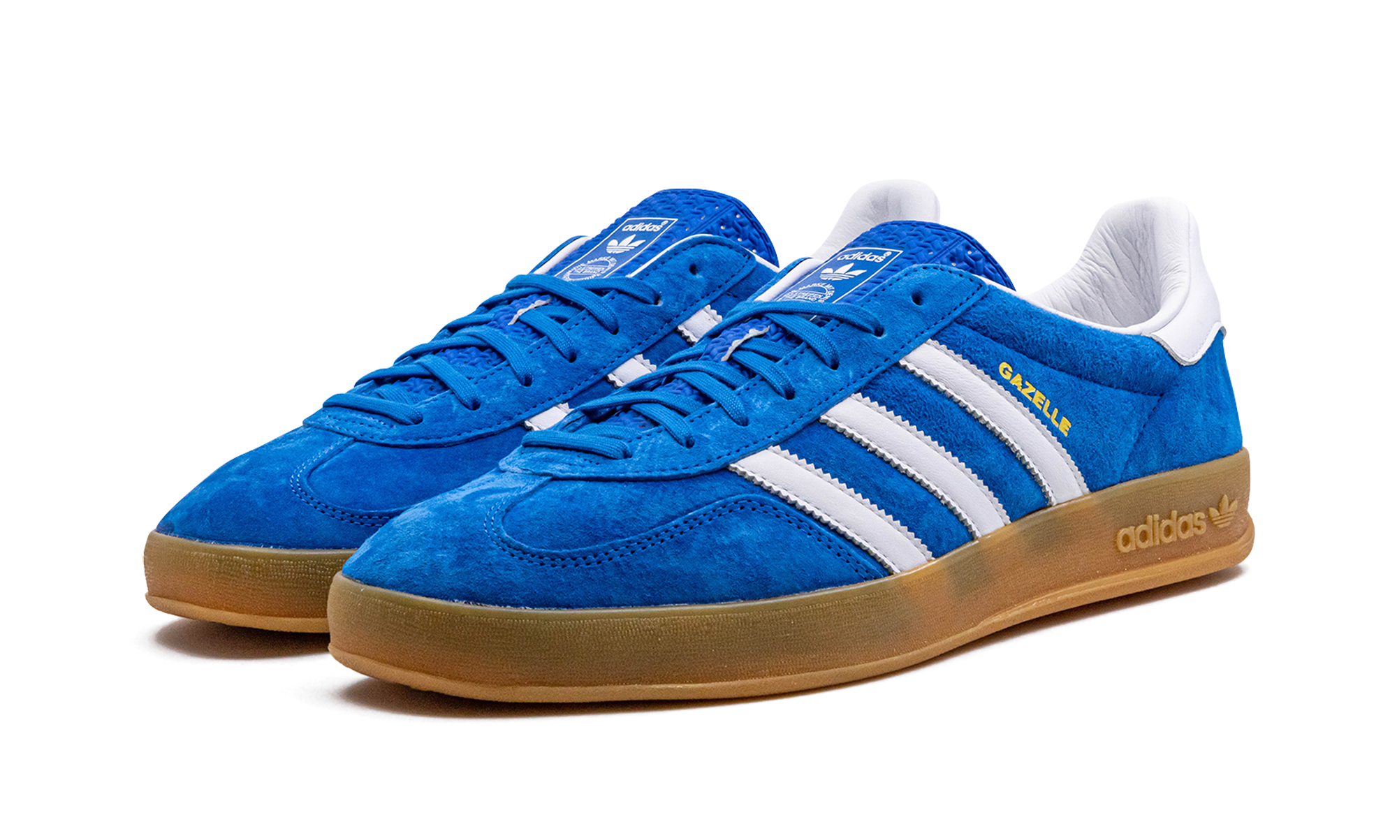 Gazelle Indoor "blue Bird" - 2