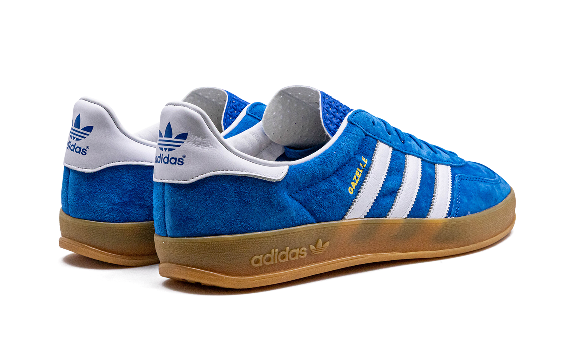Gazelle Indoor "blue Bird" - 3