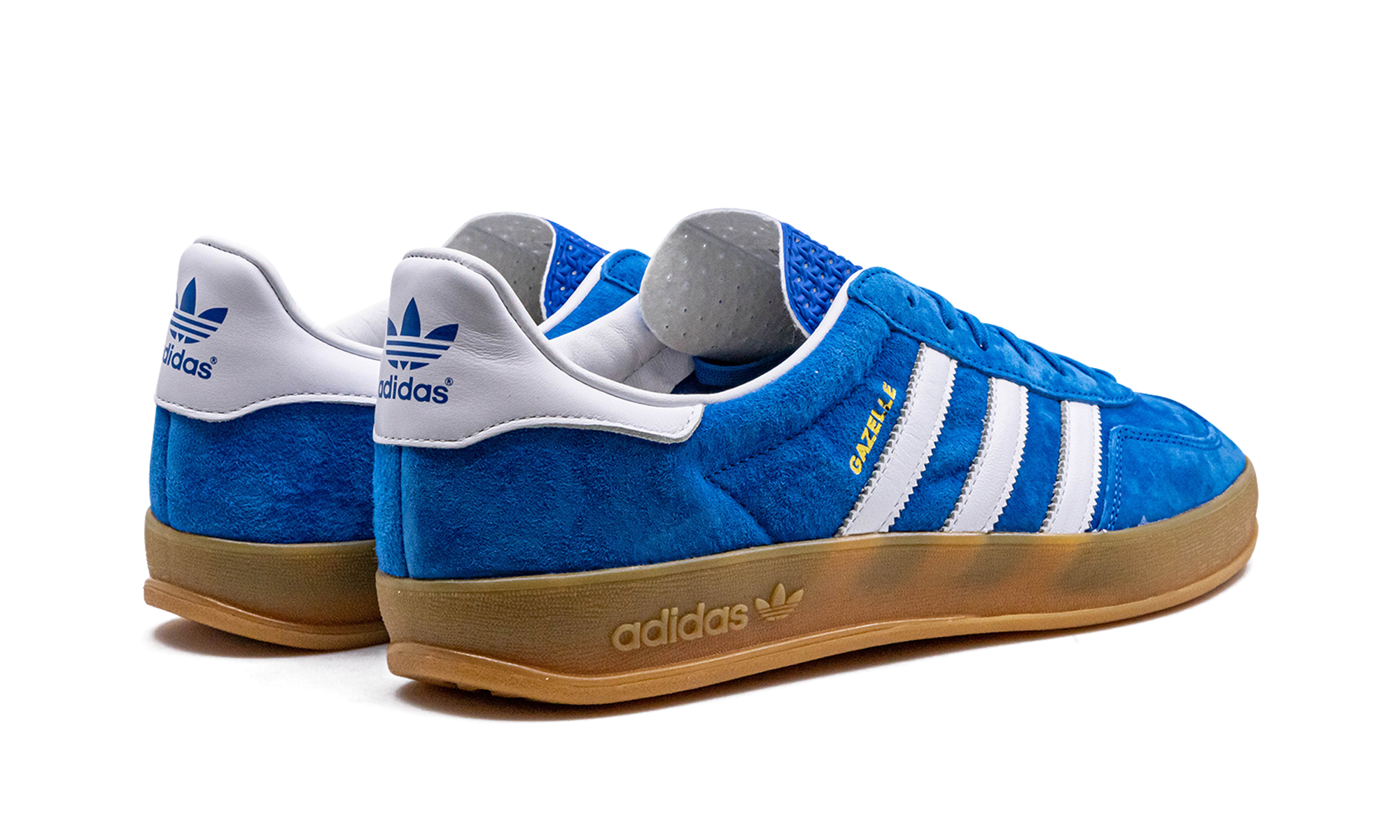 Gazelle Indoor "blue Bird" - 3