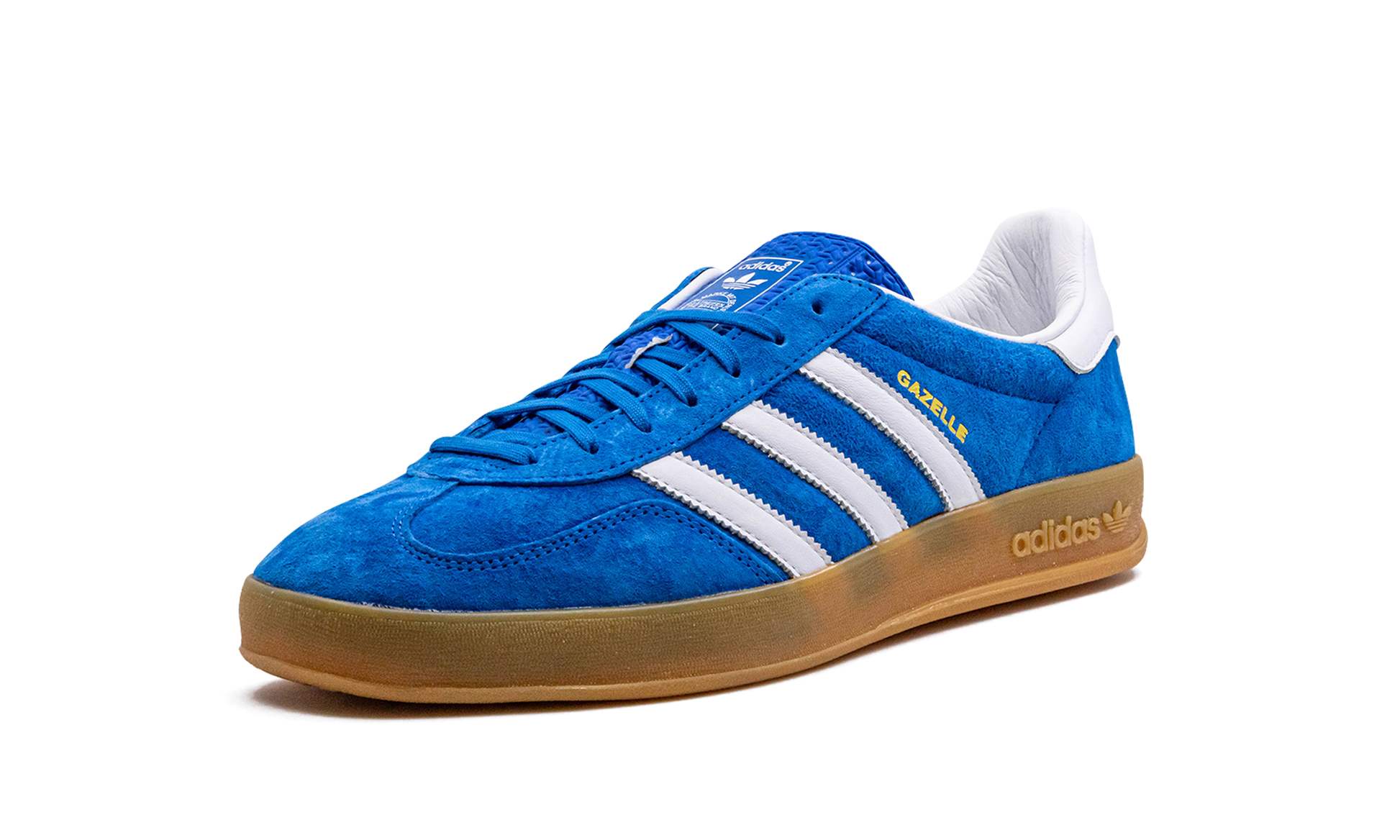 Gazelle Indoor "blue Bird" - 4