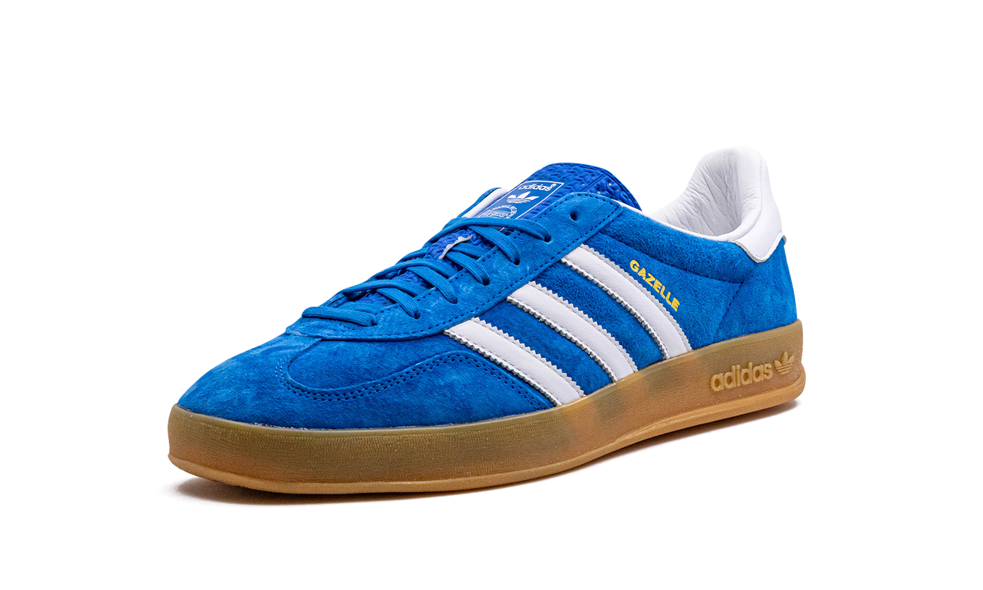 Gazelle Indoor "blue Bird" - 4