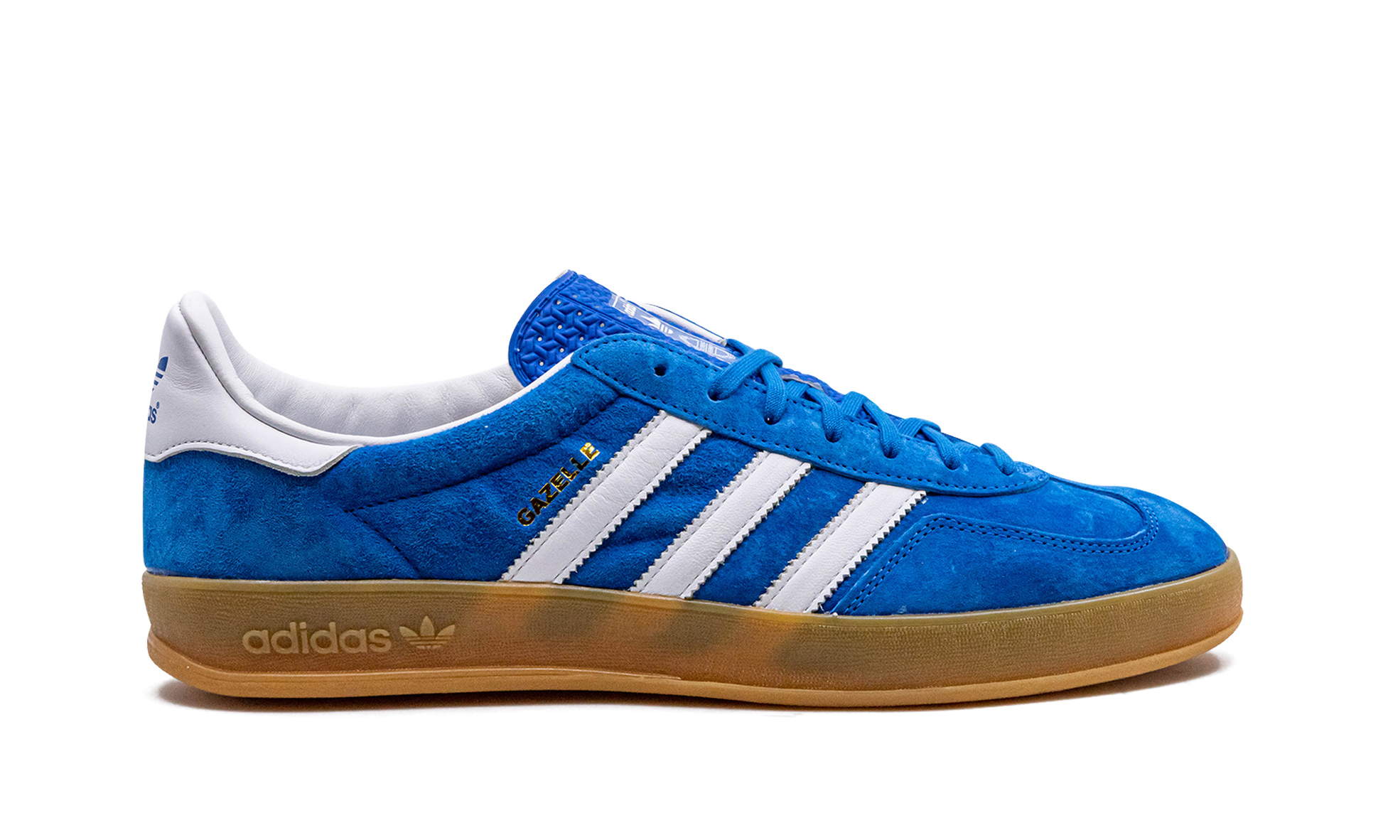 Gazelle Indoor "blue Bird" - 6