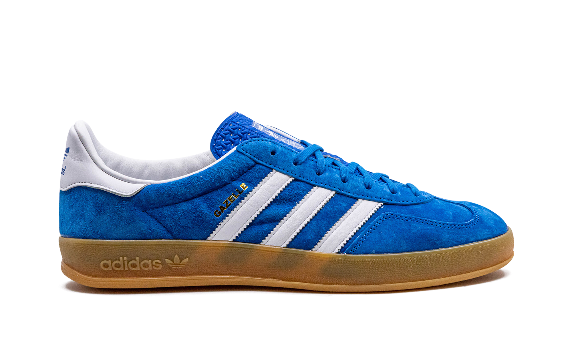 Gazelle Indoor "blue Bird" - 6