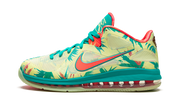 Lebron 9 Low "lebronald Palmer" - 1