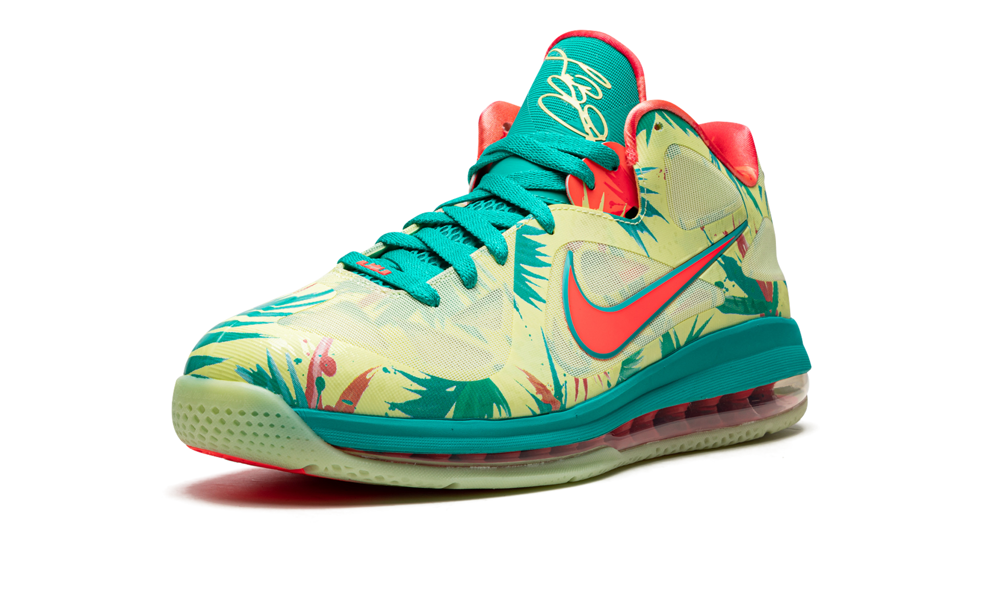 Lebron 9 Low "lebronald Palmer" - 4