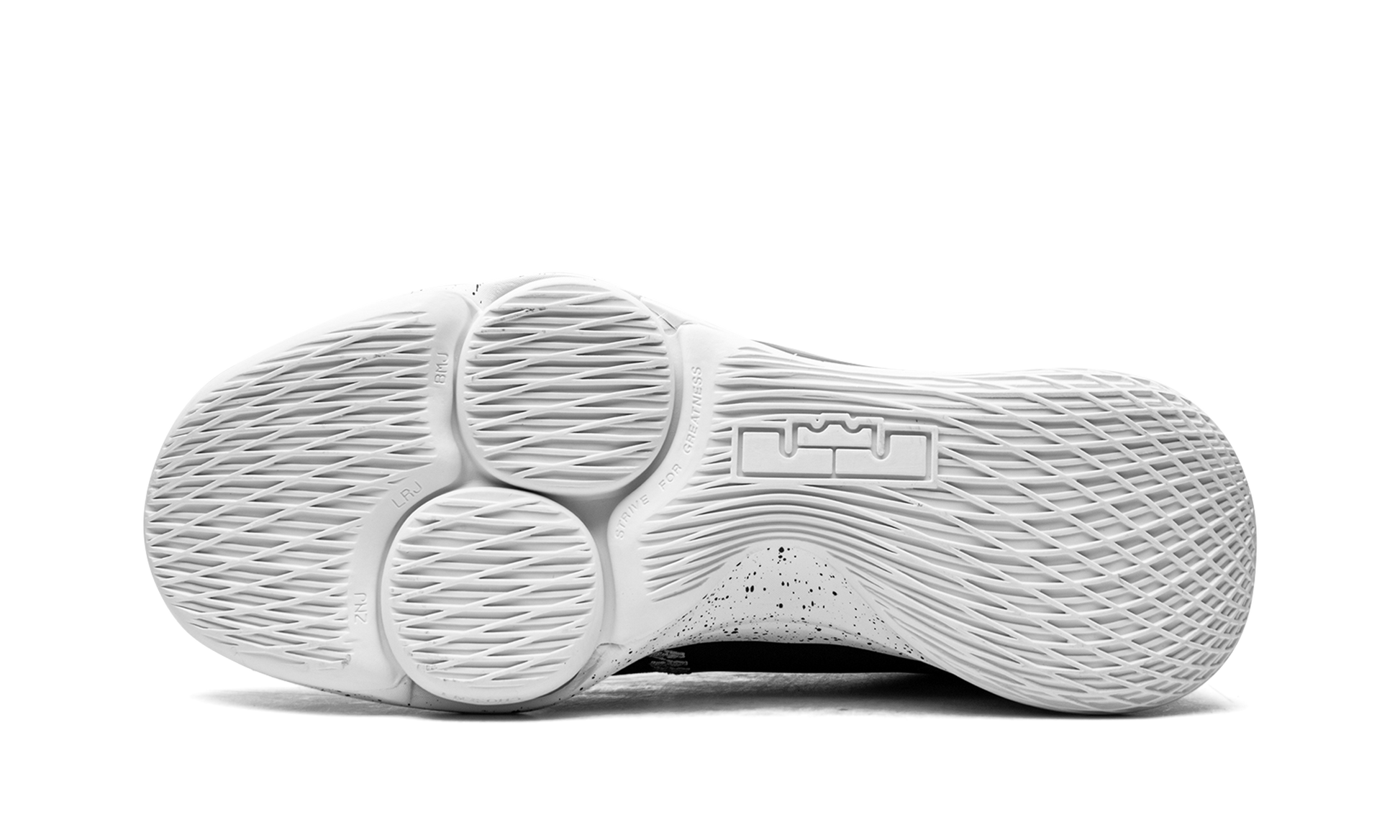 Lebron Witness V - 5