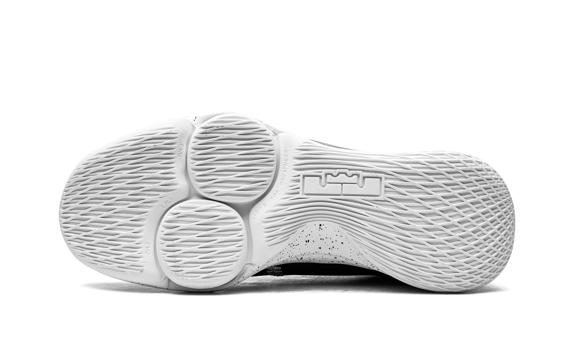 Lebron Witness V - 5