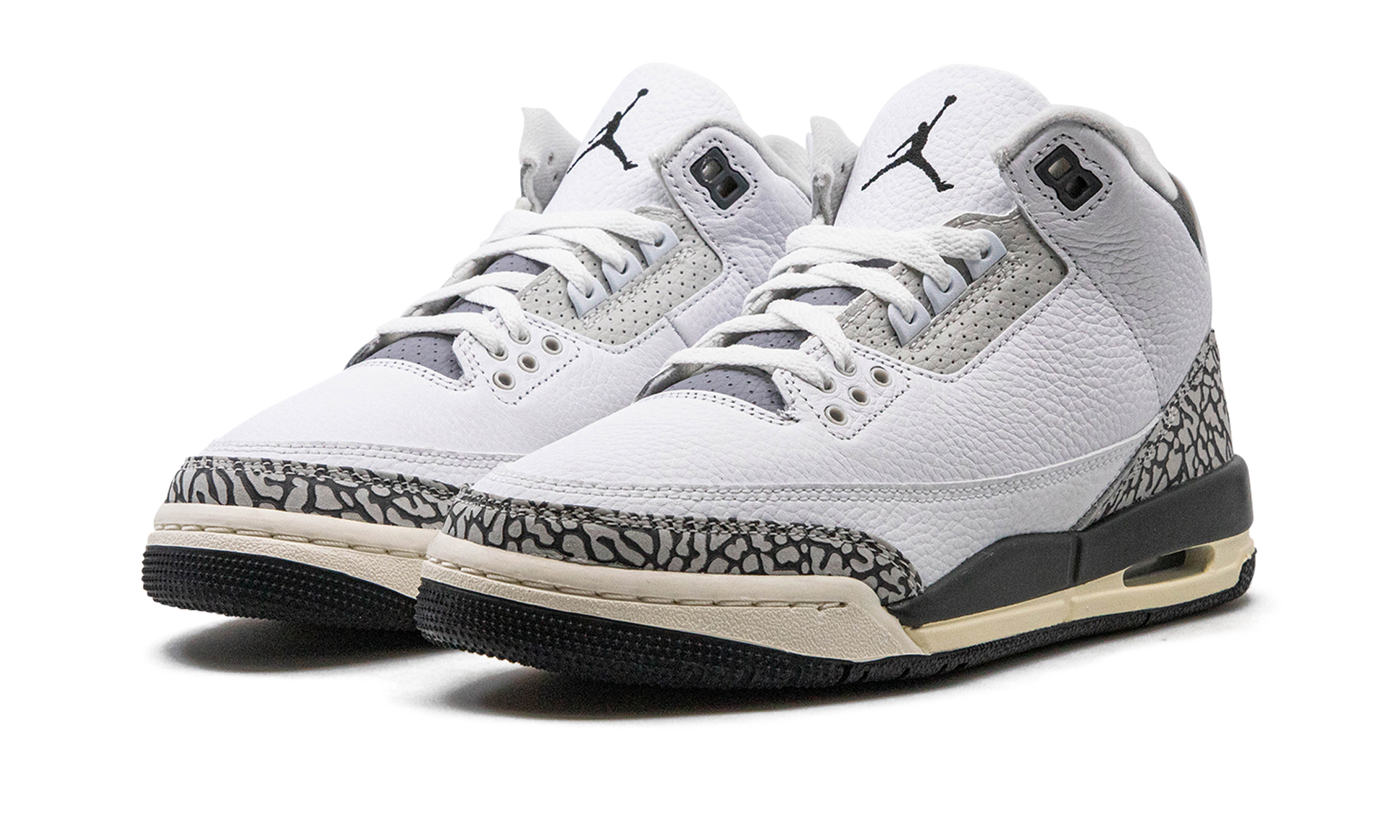 Nike Air Jordan 3 GS "Hide N Sneak" DX6665 100