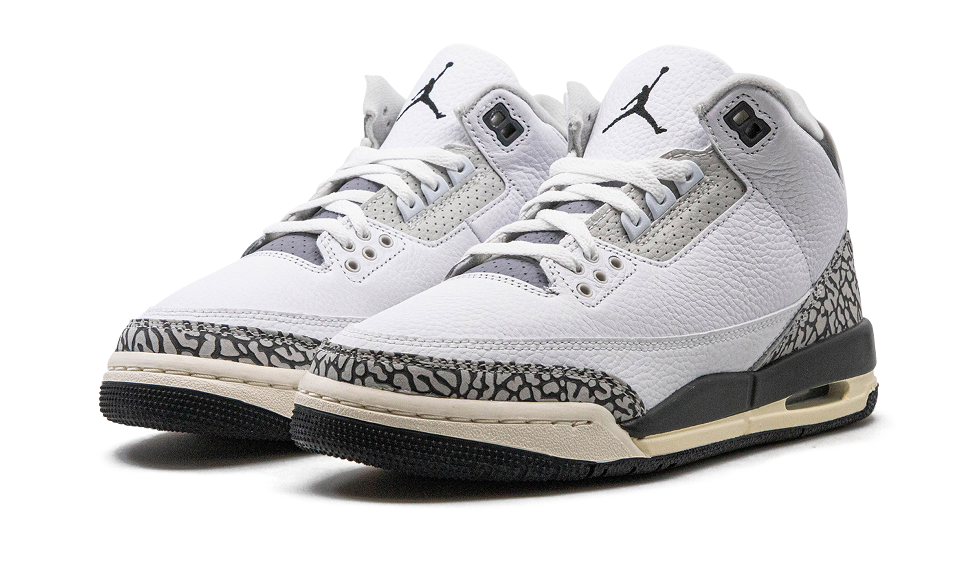 Nike Air Jordan 3 GS "Hide N Sneak" DX6665 100