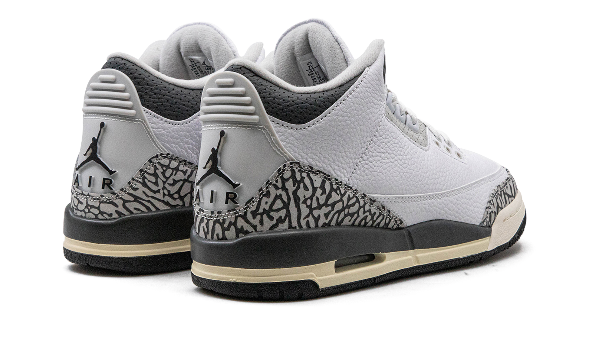 Nike Air Jordan 3 GS "Hide N Sneak" DX6665 100