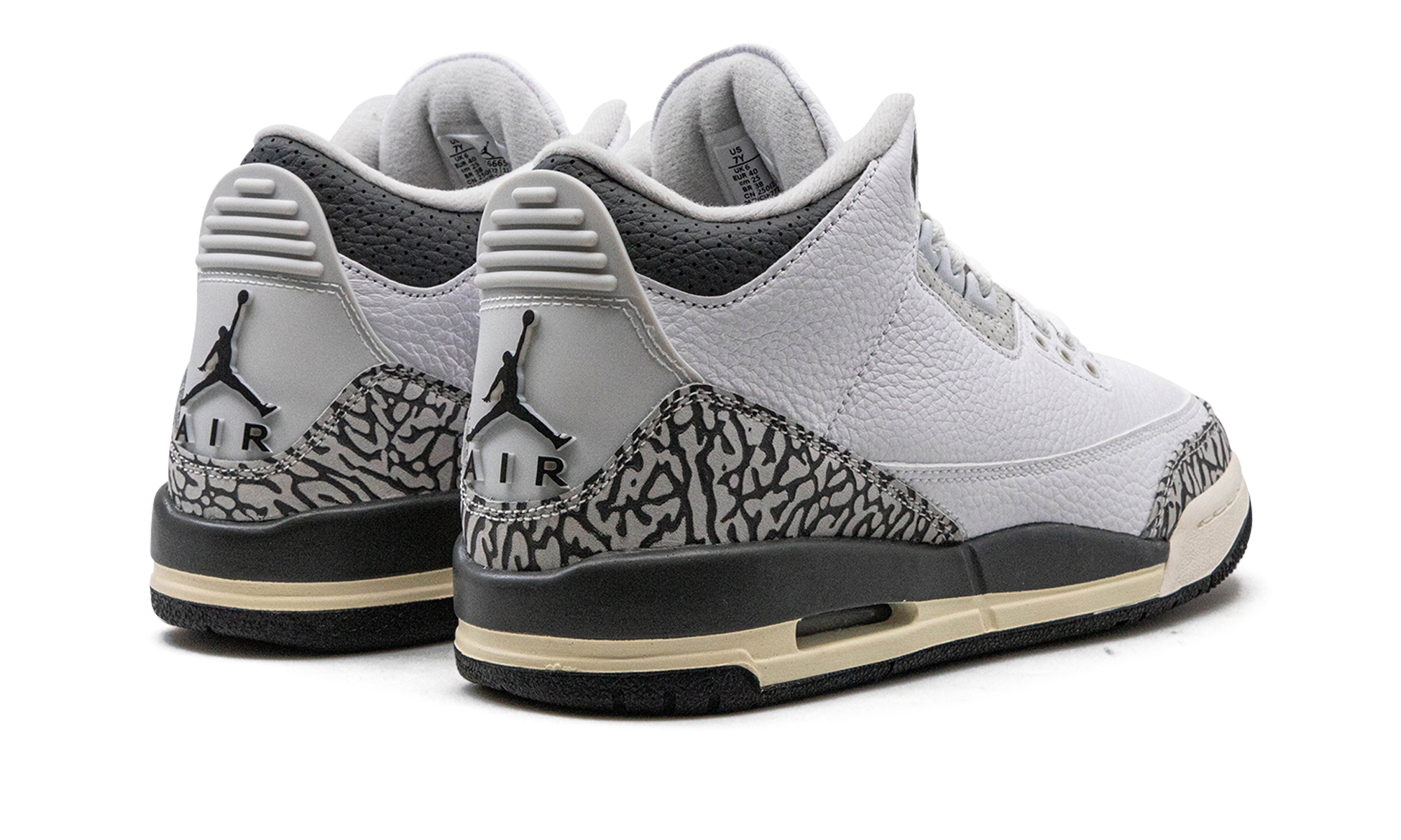 Nike Air Jordan 3 GS "Hide N Sneak" DX6665 100