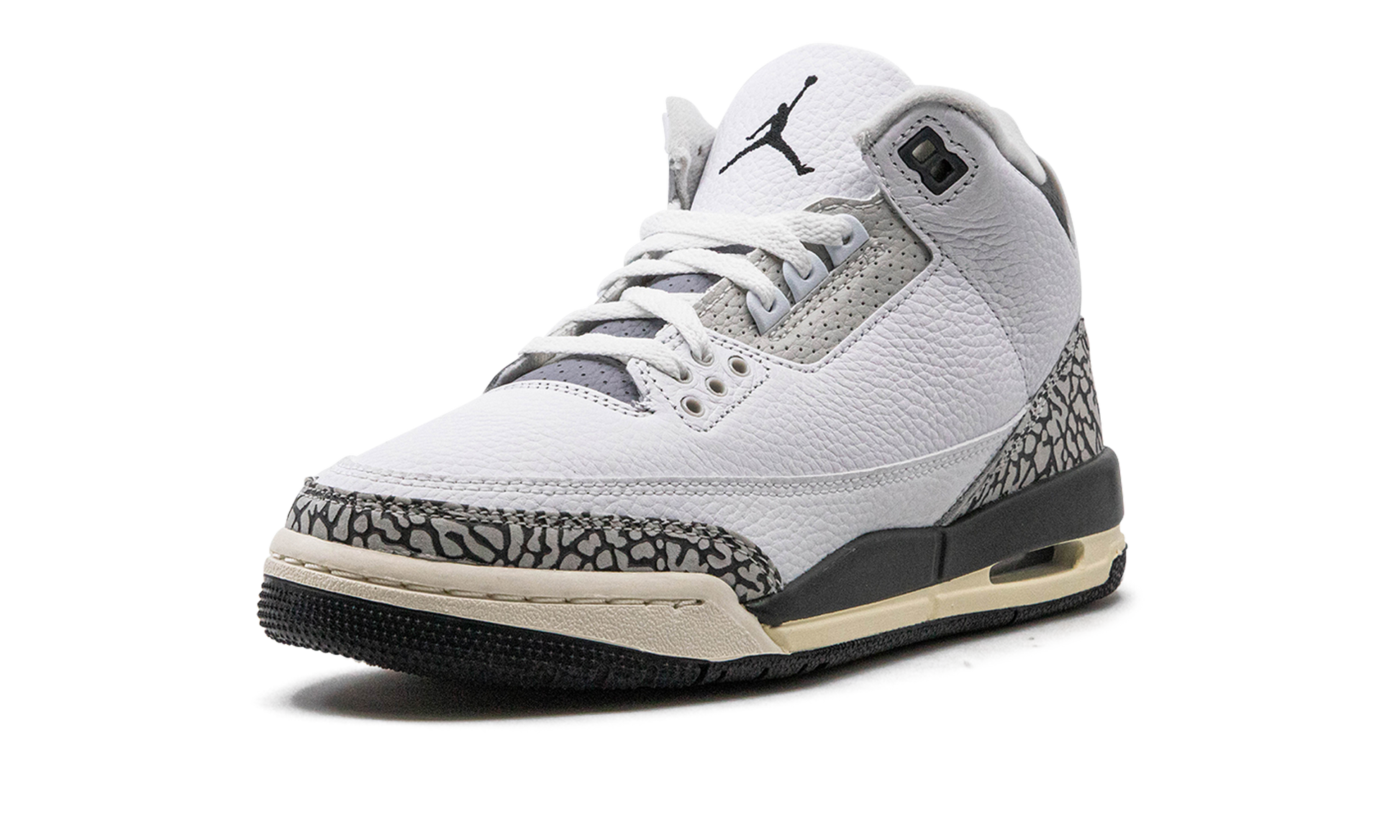Nike Air Jordan 3 GS "Hide N Sneak" DX6665 100
