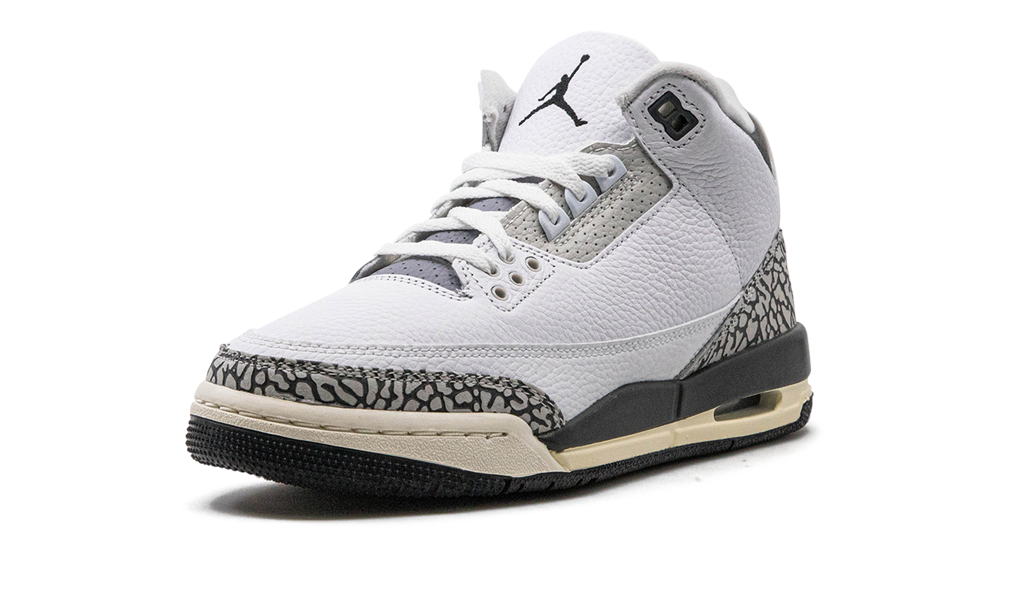 Nike Air Jordan 3 GS "Hide N Sneak" DX6665 100