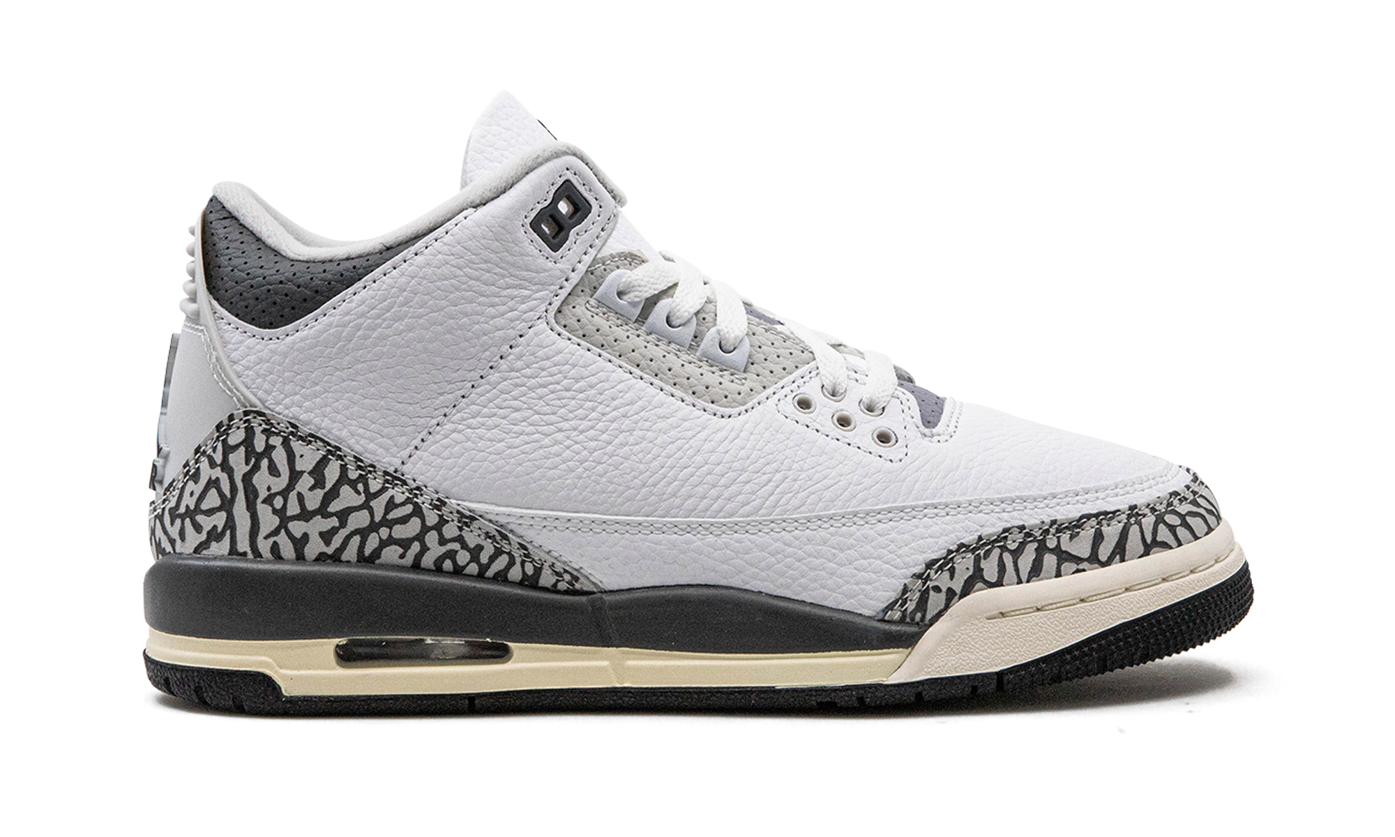 Nike Air Jordan 3 GS "Hide N Sneak" DX6665 100