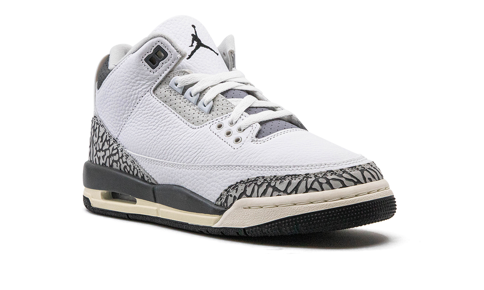 Nike Air Jordan 3 GS "Hide N Sneak" DX6665 100