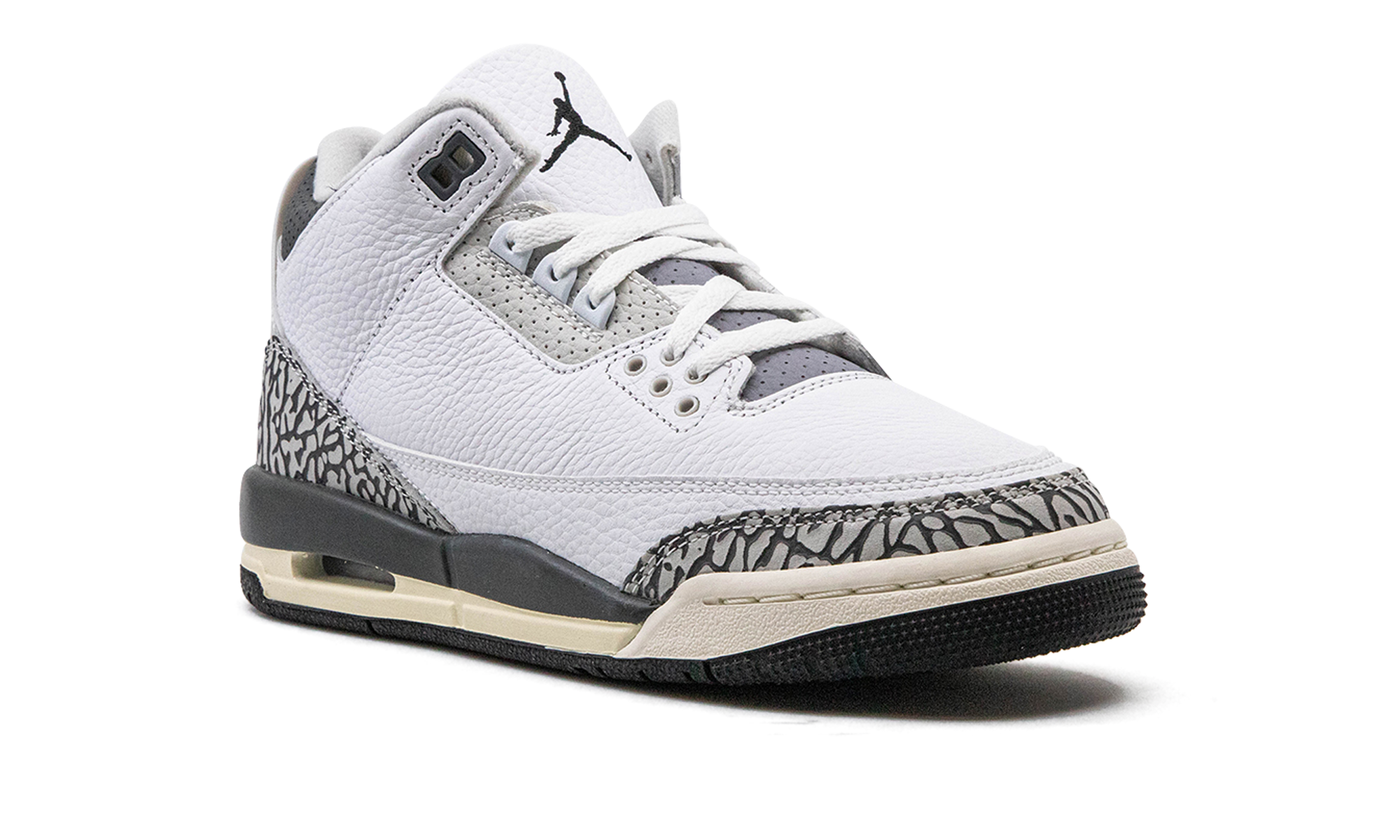 Nike Air Jordan 3 GS "Hide N Sneak" DX6665 100