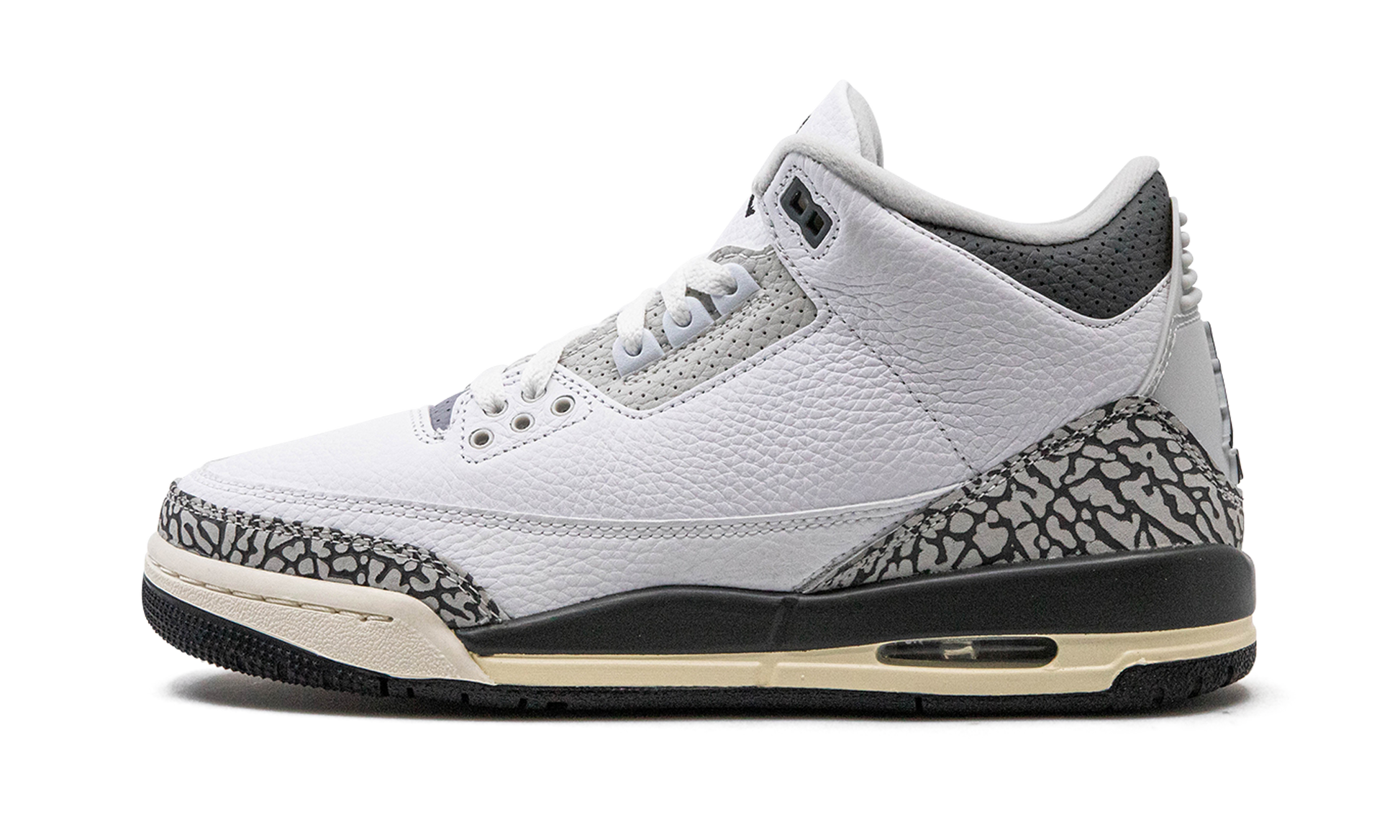 Nike Air Jordan 3 GS "Hide N Sneak" DX6665 100
