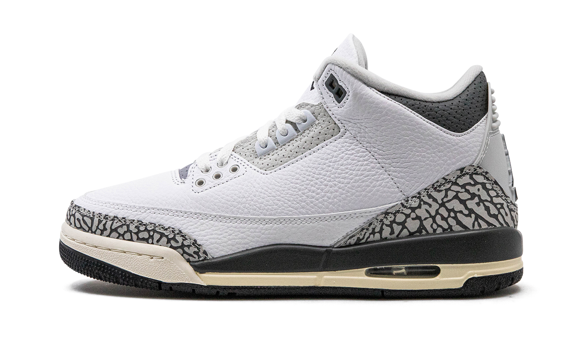 Nike Air Jordan 3 GS "Hide N Sneak" DX6665 100