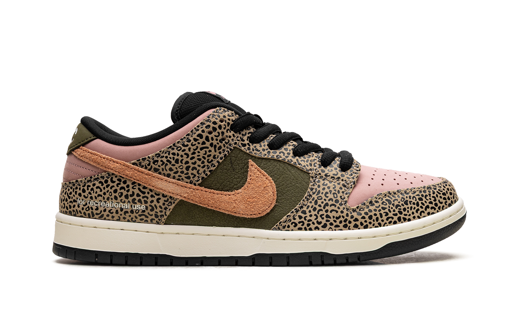 Nike SB Dunk Low "Arts-Rec" IH3211 200