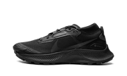 Pegasus Trail 3 Gtx "gore-tex - Triple Black" - 1