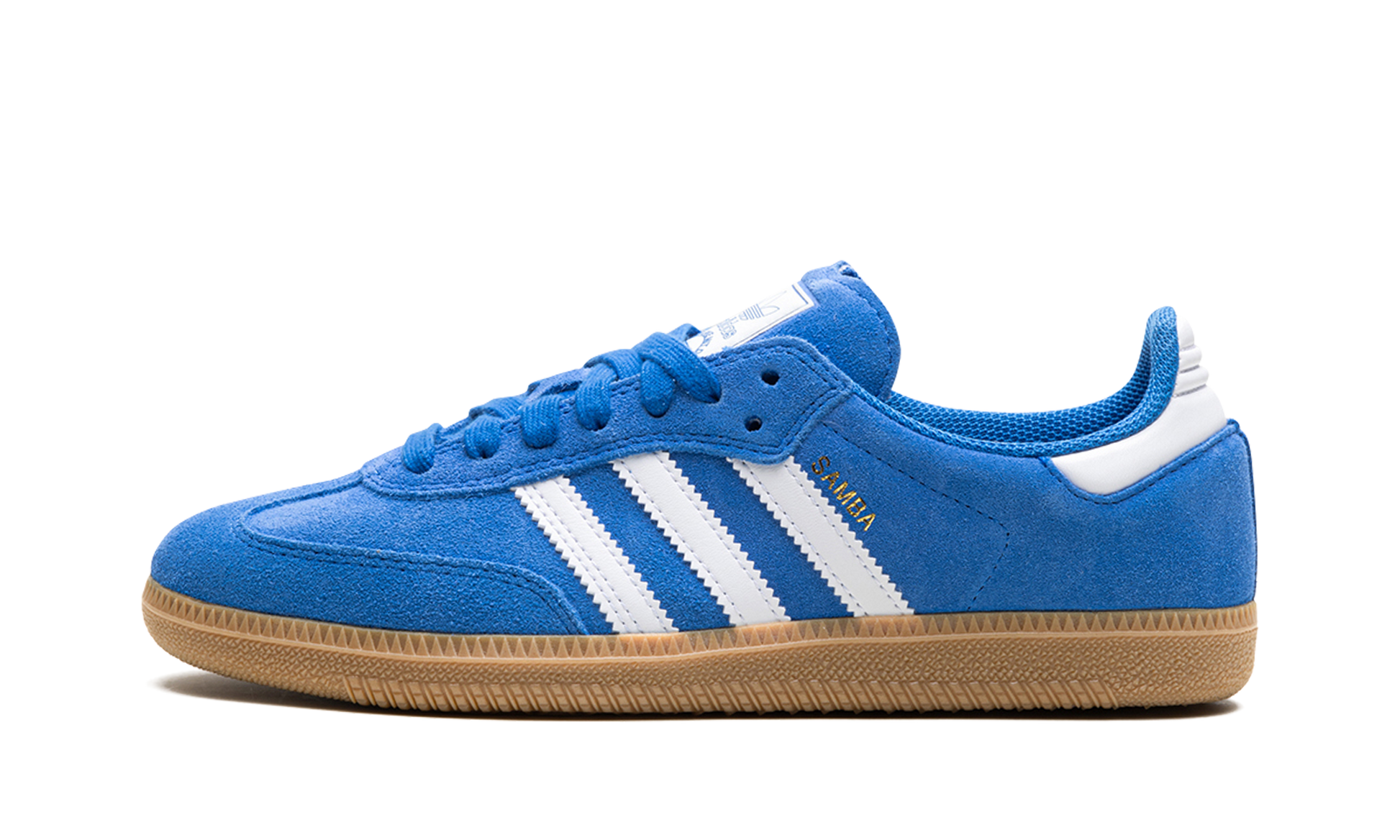 Samba Adv "blue Bird" - 1