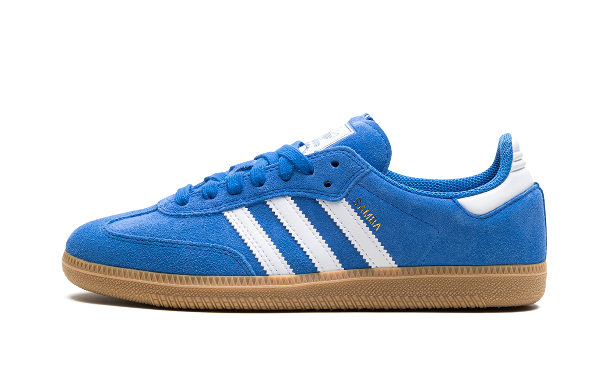 Samba Adv "blue Bird" - 1