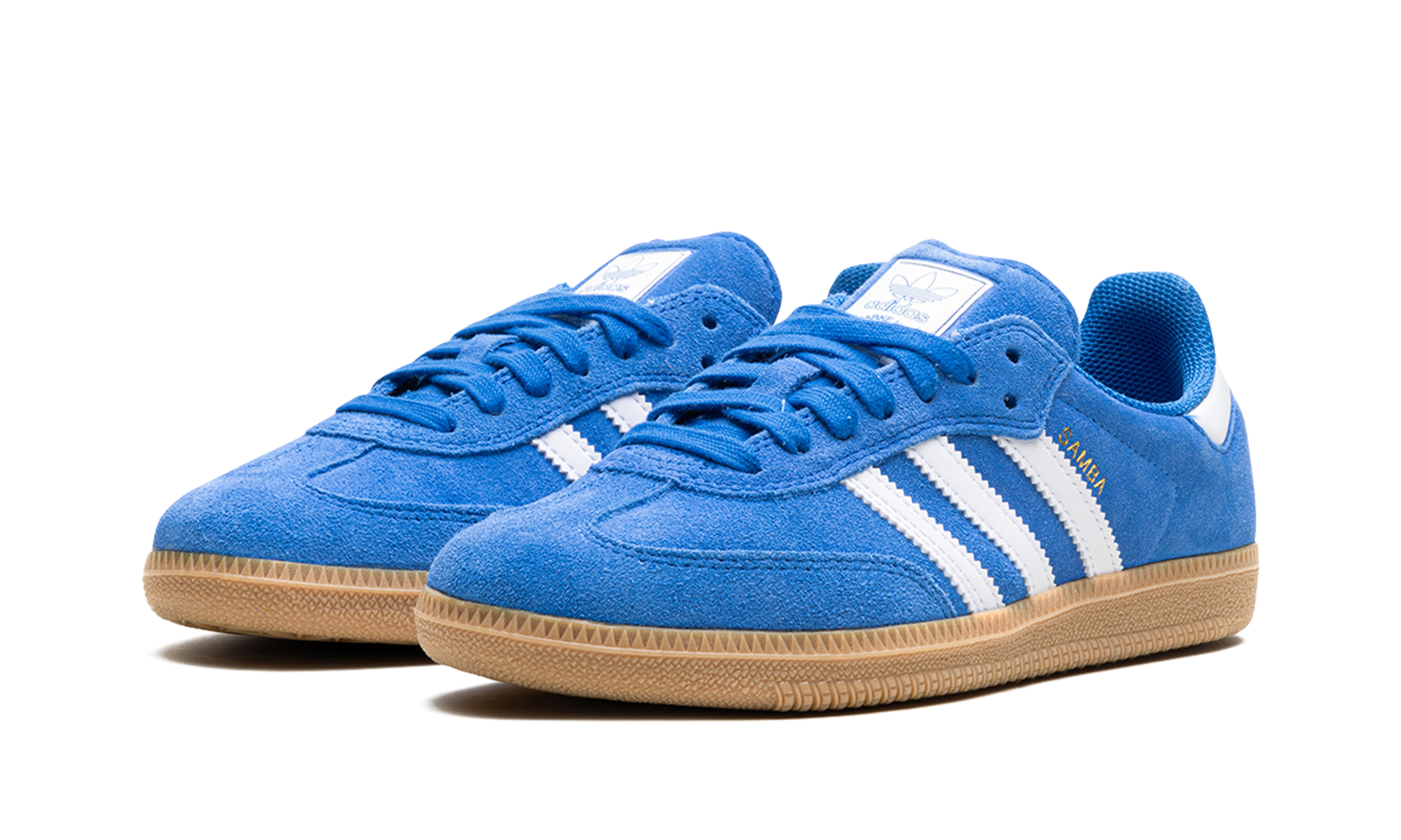 Samba Adv "blue Bird" - 2