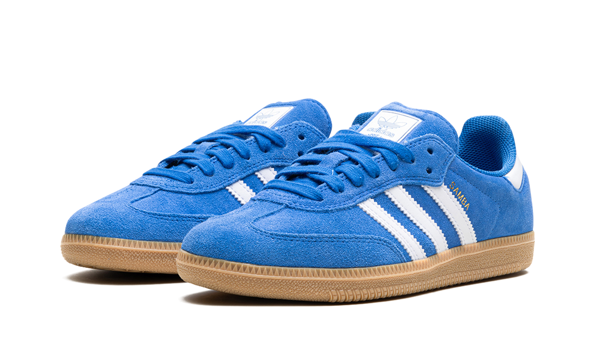 Samba Adv "blue Bird" - 2