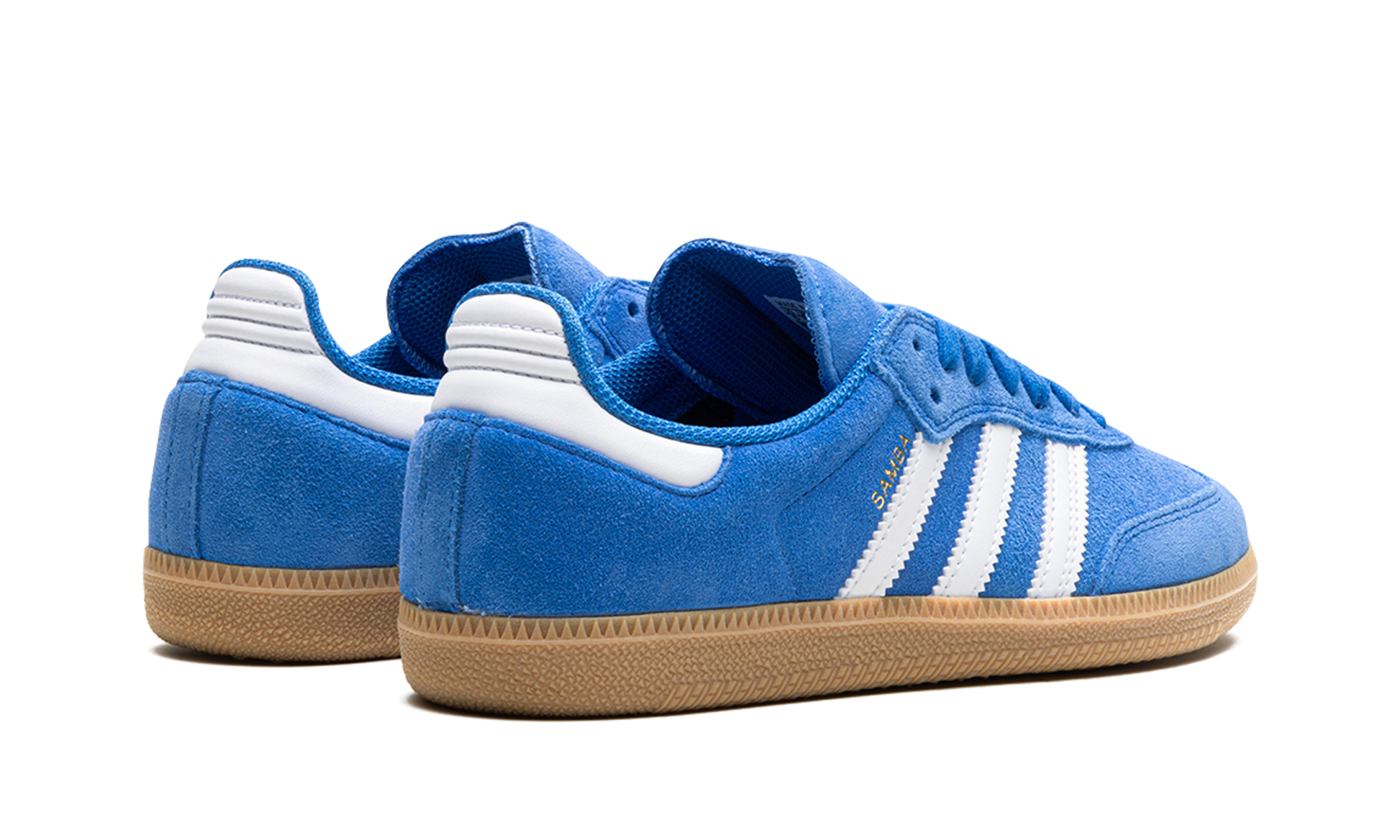 Samba Adv "blue Bird" - 3