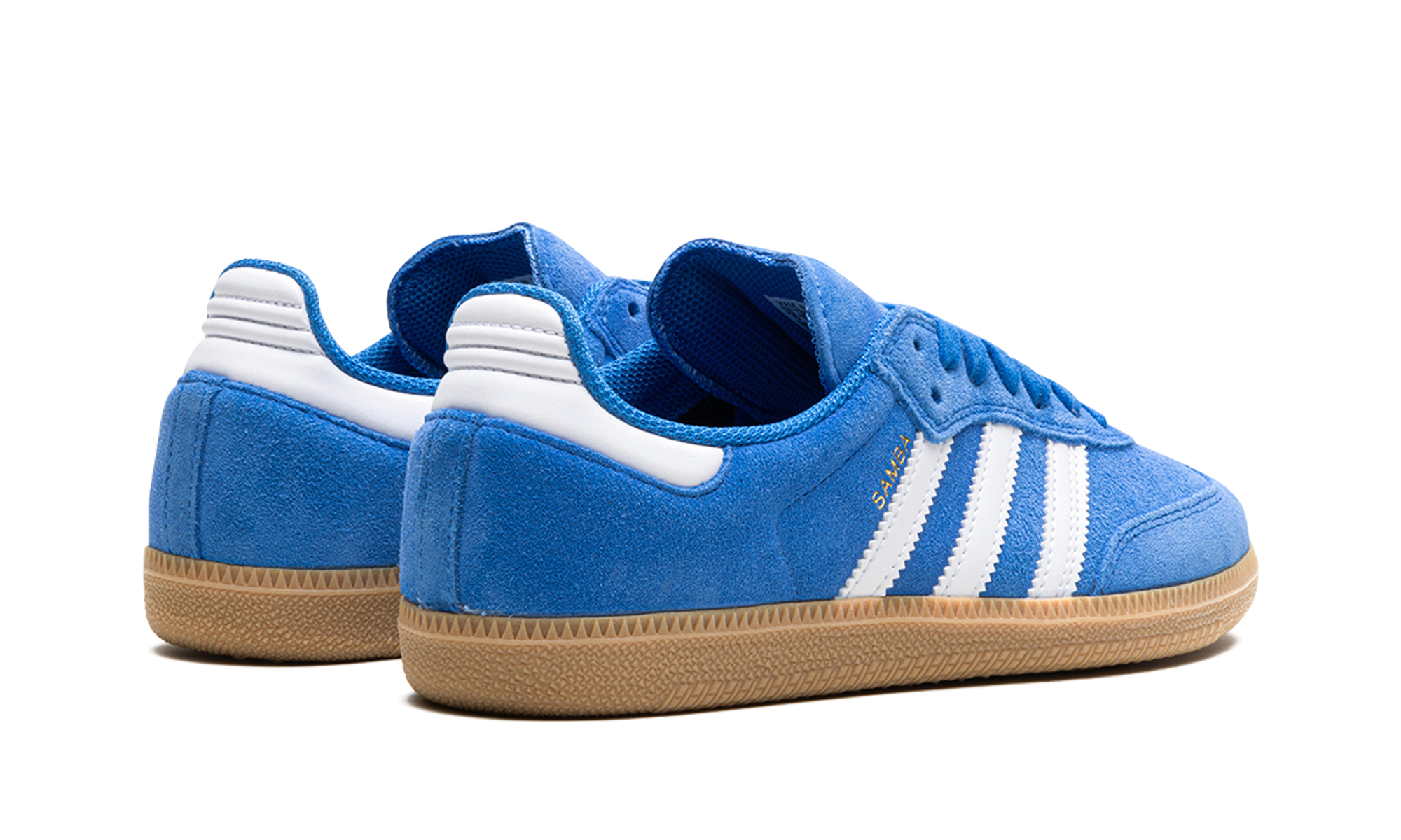 Samba Adv "blue Bird" - 3
