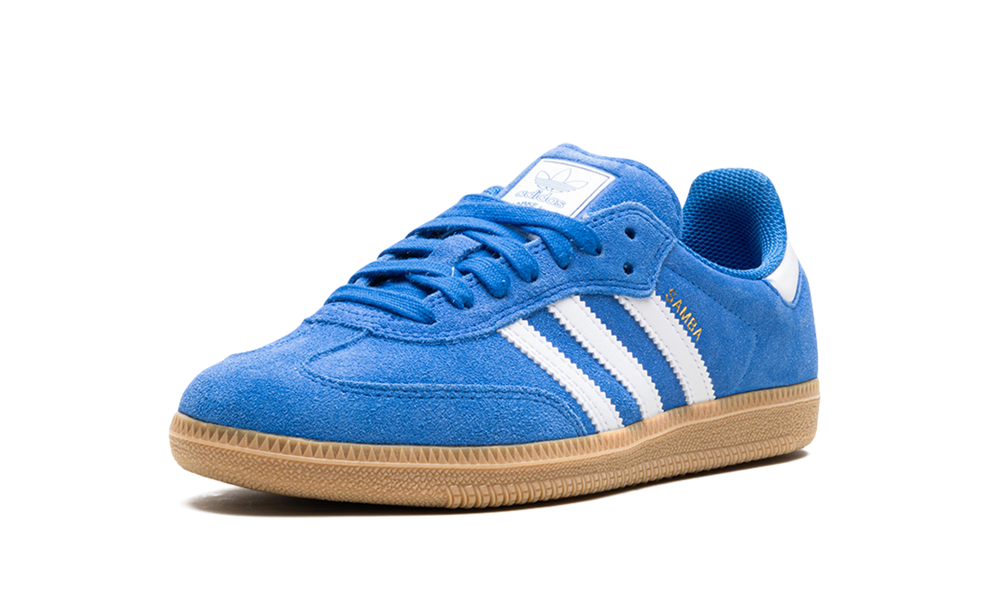 Samba Adv "blue Bird" - 4