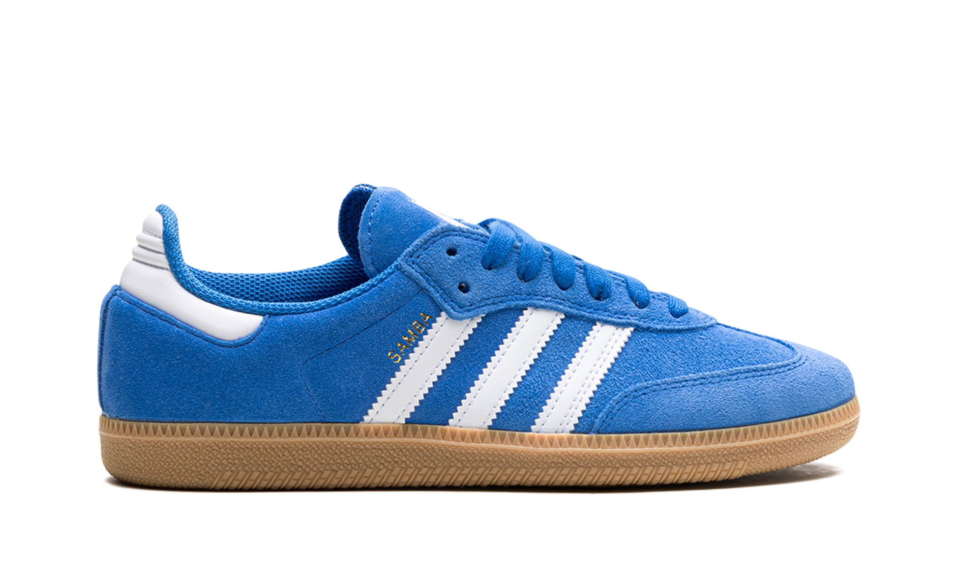 Samba Adv "blue Bird" - 6