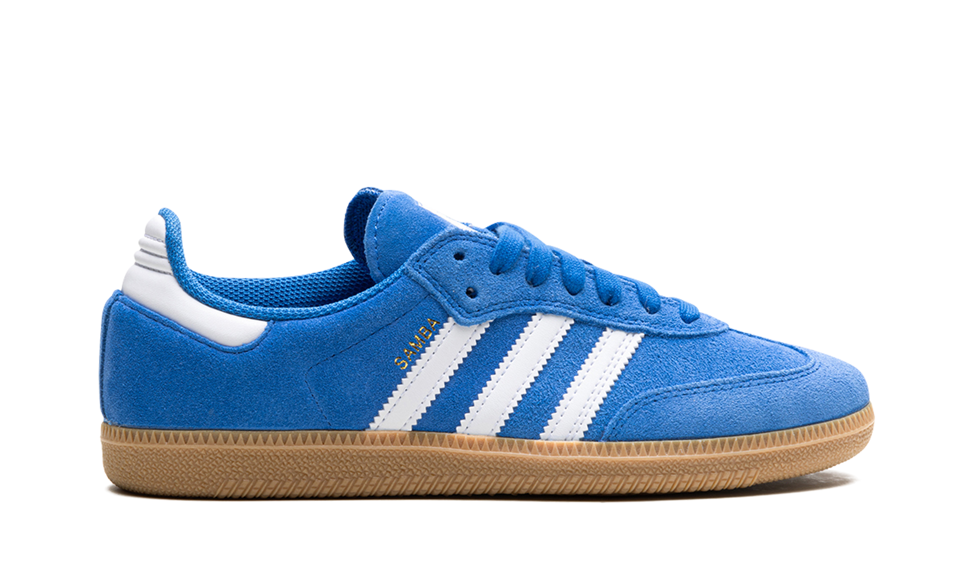 Samba Adv "blue Bird" - 6
