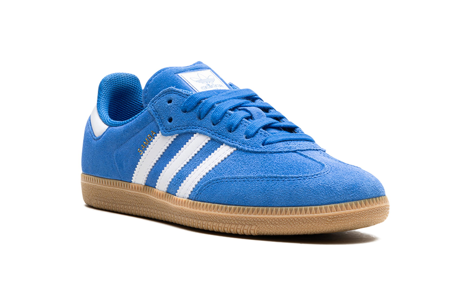 Samba Adv "blue Bird" - 7