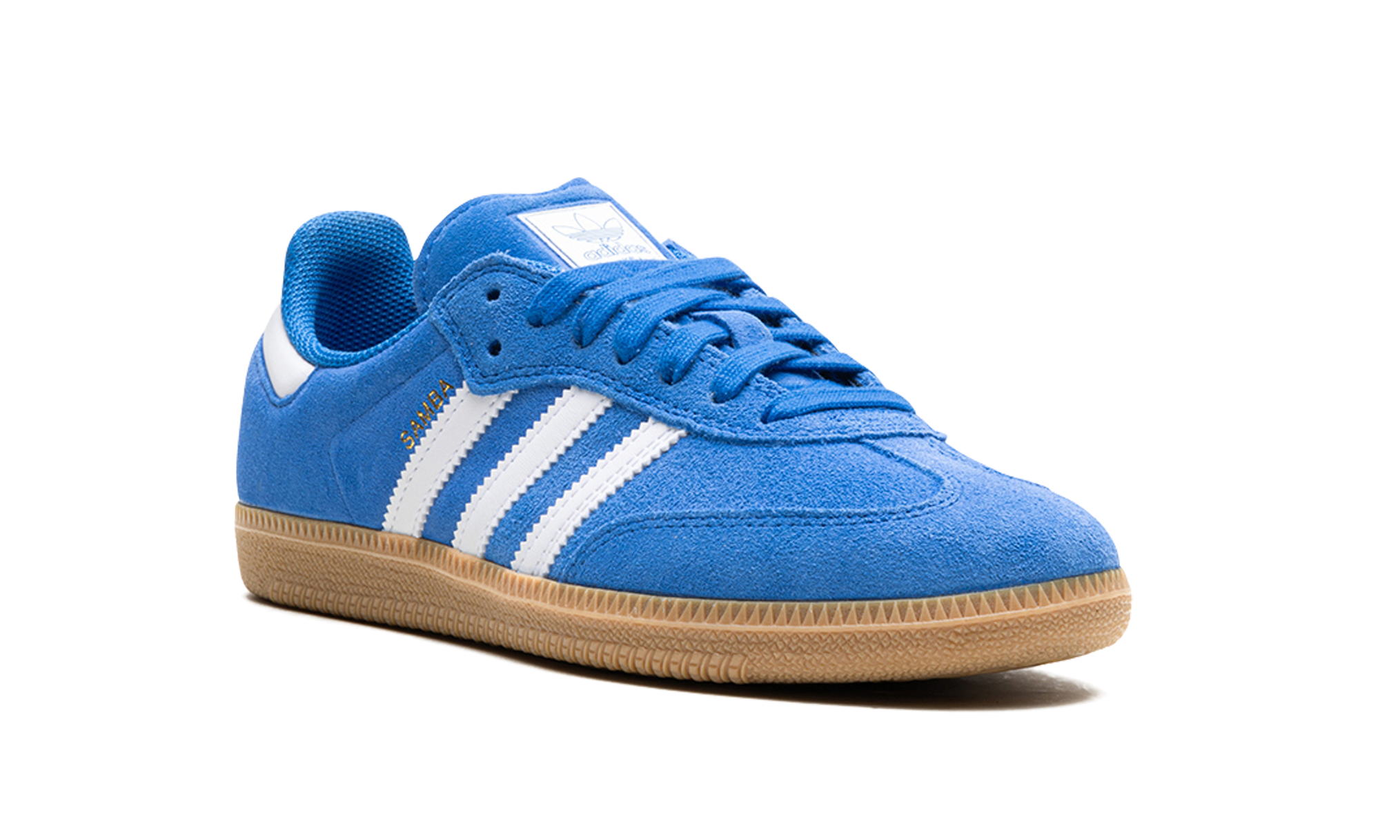 Samba Adv "blue Bird" - 7
